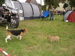 DSC04536.JPG