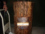 DSC04408.JPG