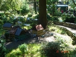 DSC01941.JPG