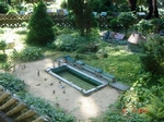 DSC01942.JPG