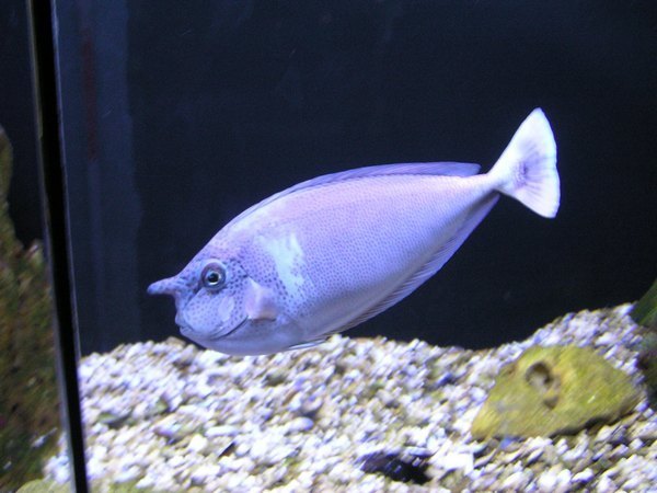 p4180503.jpg