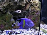 p4180505.jpg