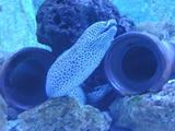 p4180517.jpg