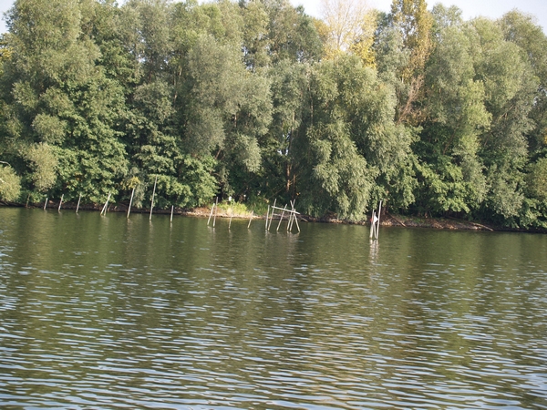 P9171730.JPG
