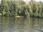 P9171730.JPG