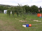 P7100073.JPG
