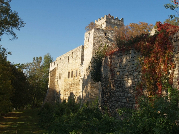 PA232252.JPG