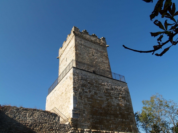 PA232253.JPG