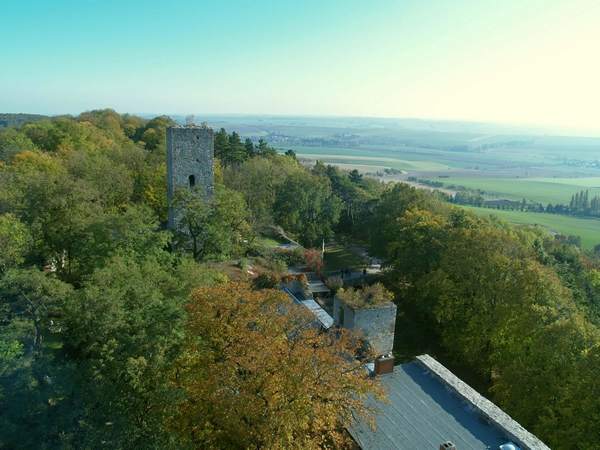 PA232279.JPG
