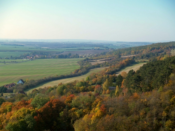 PA232284.JPG