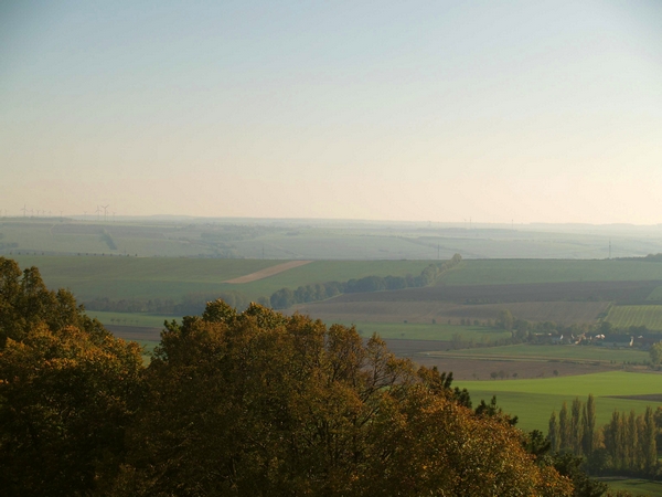 PA232303.JPG