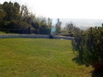 PA232231.JPG
