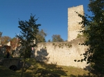 PA232242.JPG