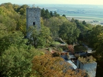 PA232280.JPG