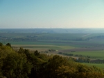 PA232281.JPG