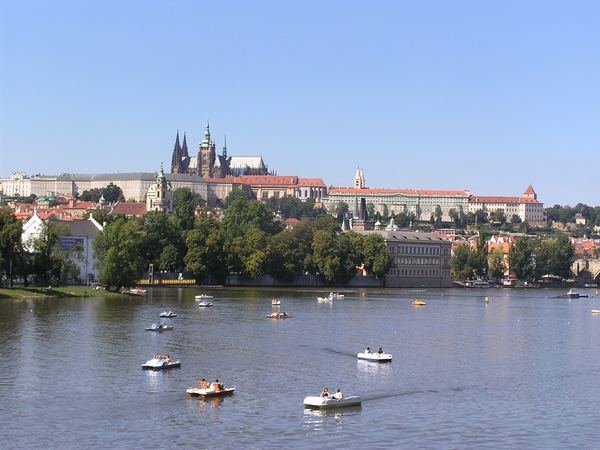 P8200220.JPG