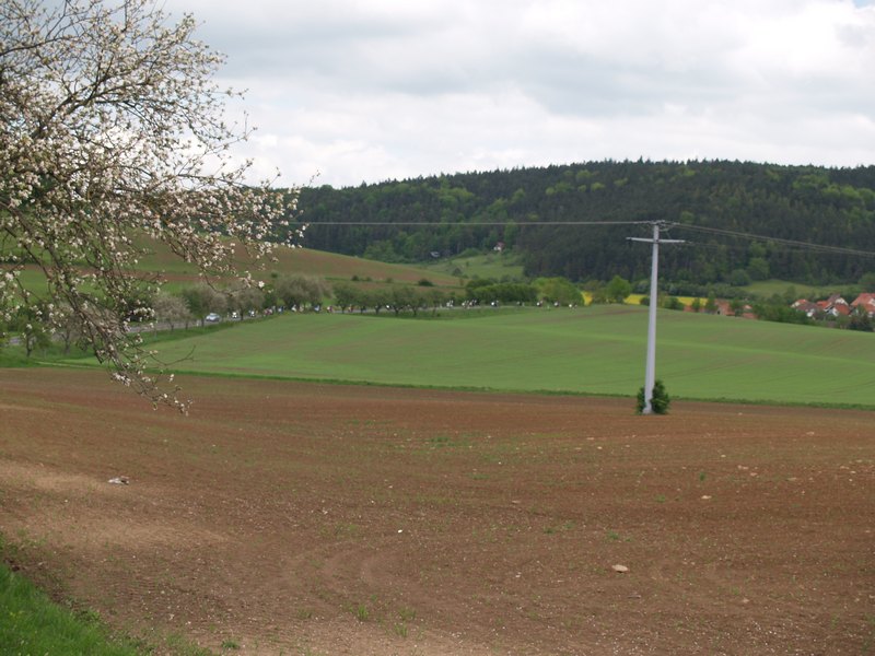 P5124558.JPG
