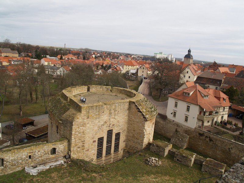 P4147827.JPG
