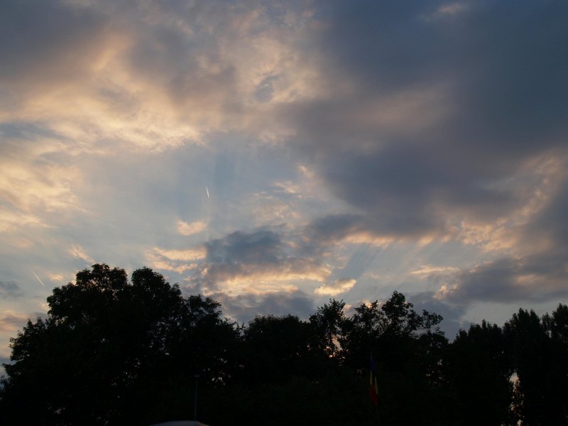 P7173635.JPG
