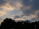 P7173635.JPG