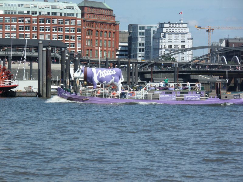 SAM_2590.JPG