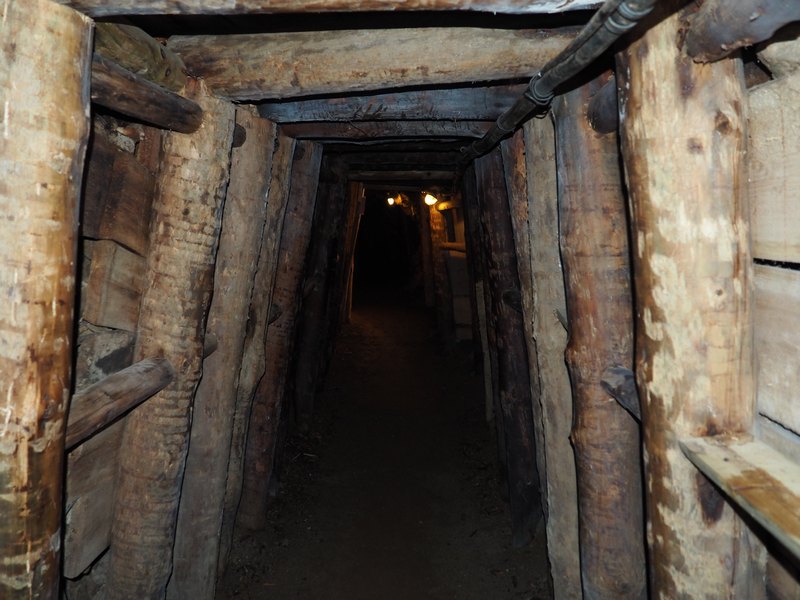 PA170109.JPG
