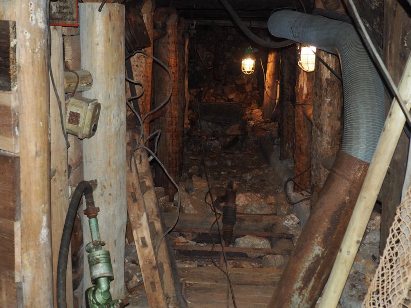 PA170117.JPG