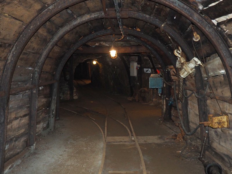 PA170120.JPG