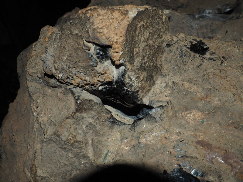 PA170134.JPG